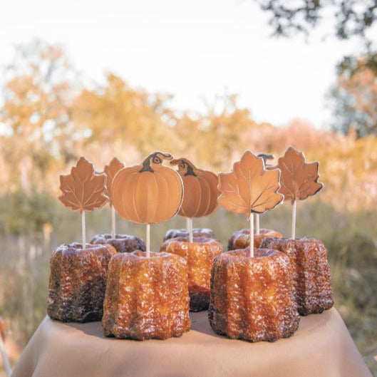 Autumn Party Picks | Pumpkins and Maple Leaves | Thanksgiving