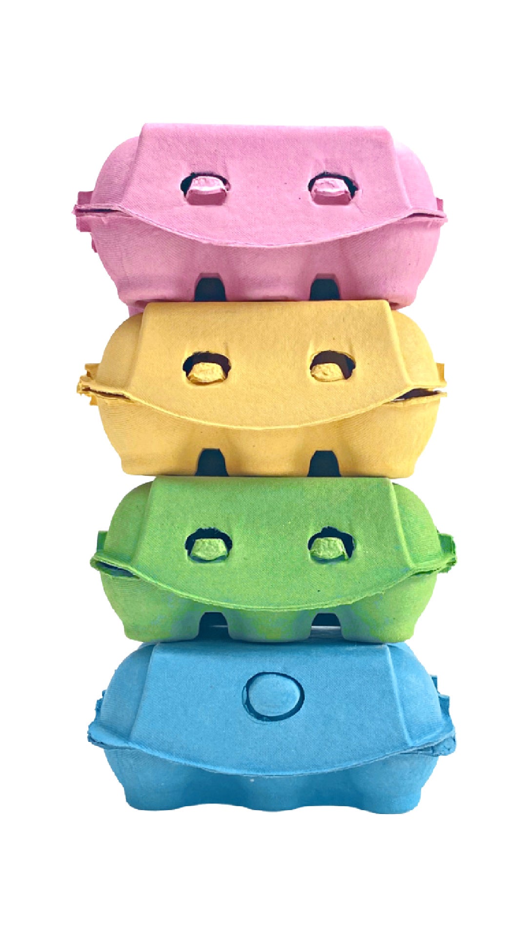 Coloured Egg Boxes (8 Pack)