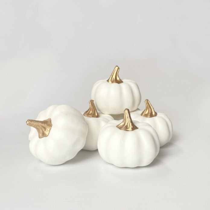 Stylish Pumpkin Table Decorations Cream and Gold Pumpkins