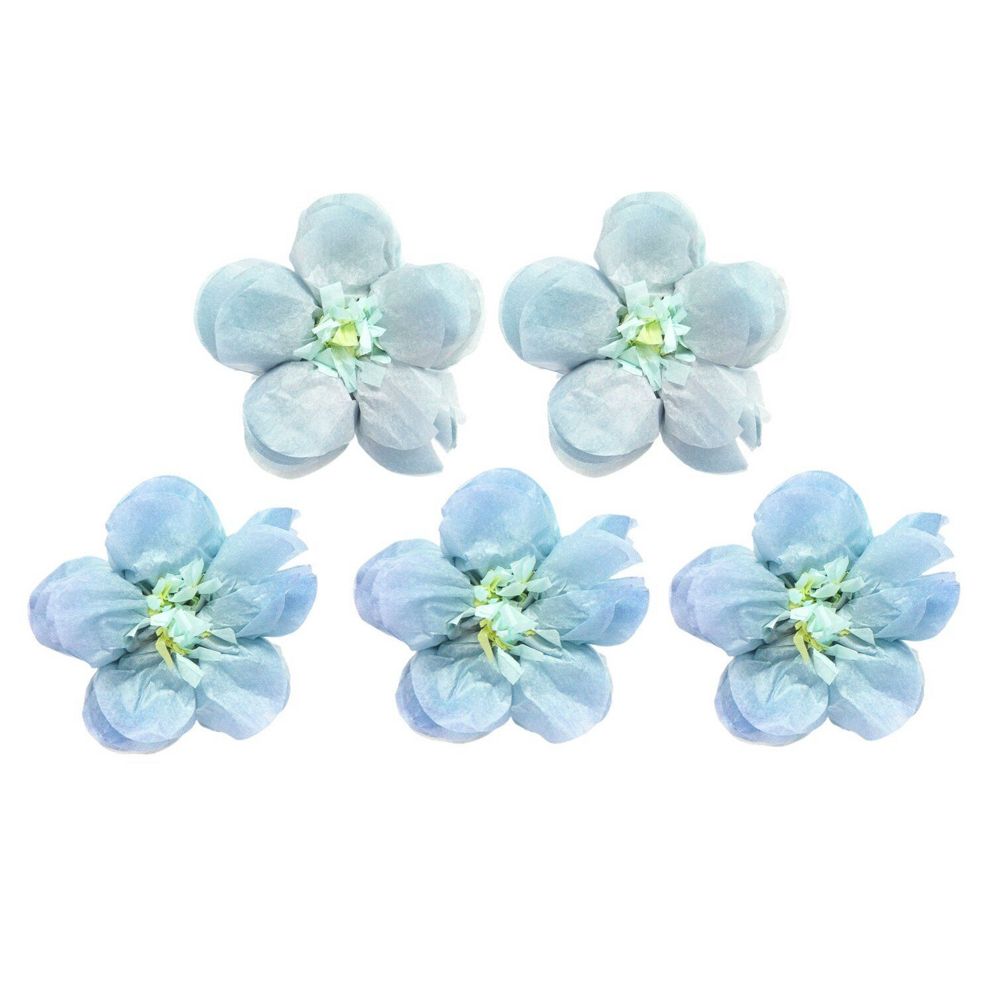 Forget Me Not Flowers - 7cm (5 Pack)