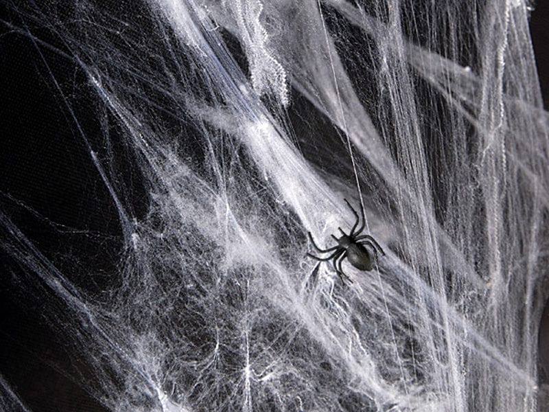Spiderweb Decoration For Halloween | Faux Spiderweb partydeco