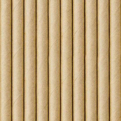 Natural Paper Straws | Paper Straws | Kraft Party Supplies Party Deco