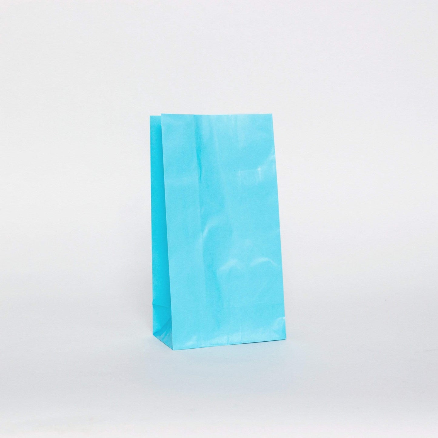 Light Blue Party Bags | Solid Colour Paper Bags | Treat Bags Unique