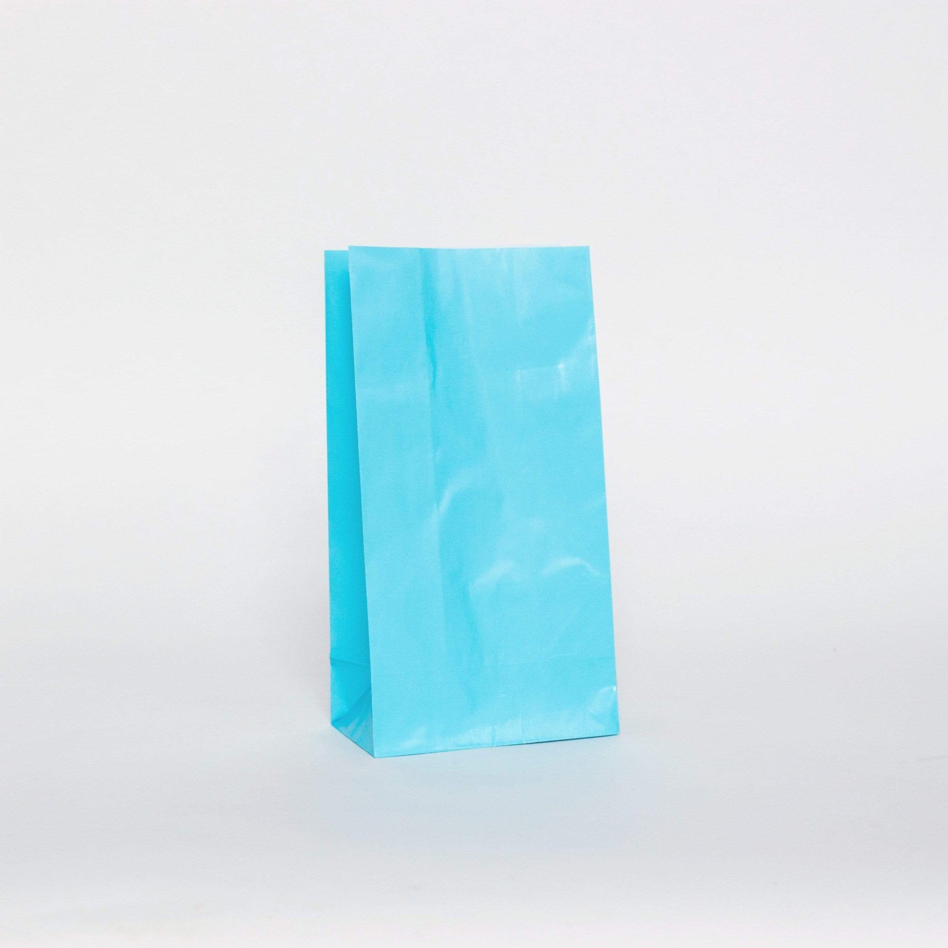 Light Blue Party Bags | Solid Colour Paper Bags | Treat Bags  Unique