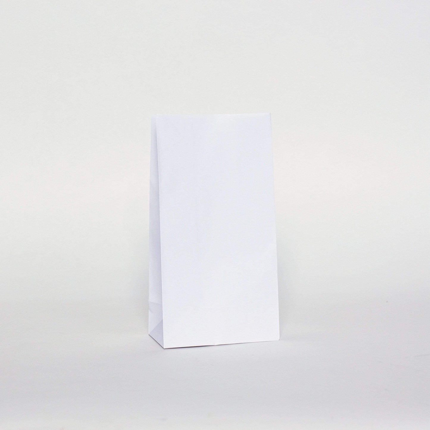 White Party Bags | Solid Colour Paper Bags | Treat Bags Unique