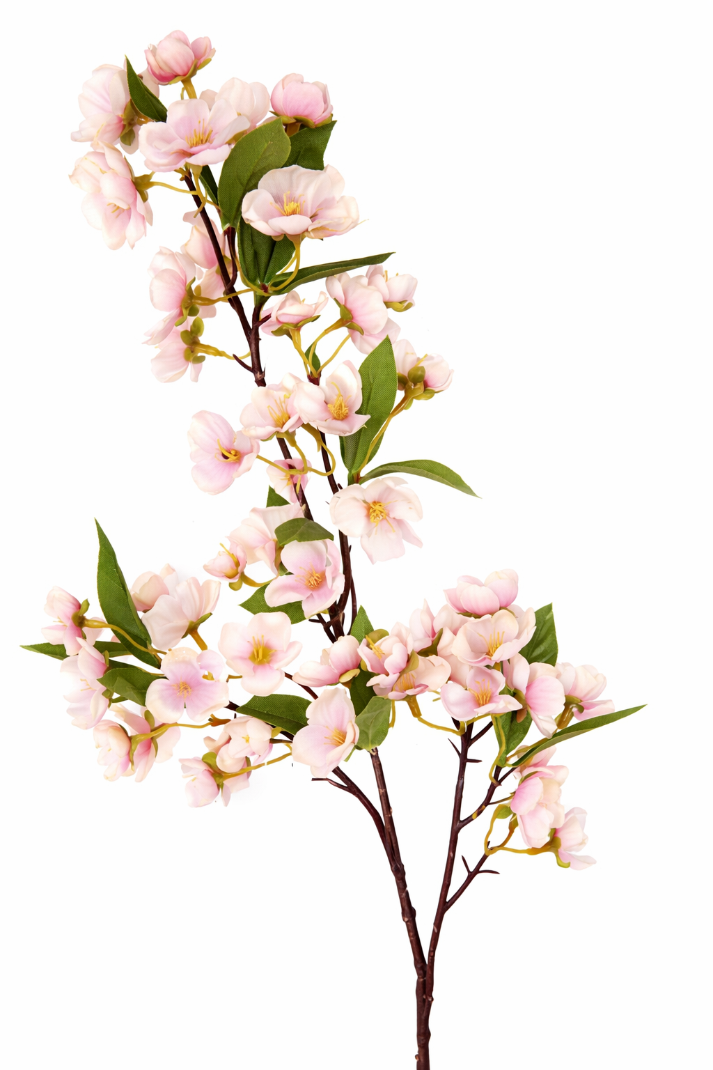 Artificial cherry blossom branch with pink flowers on a white background