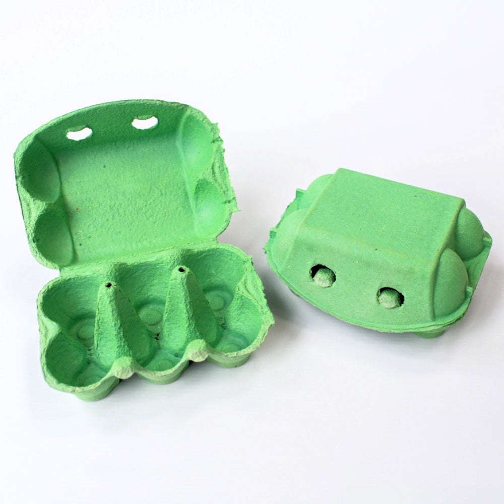 Green egg carton on a white background