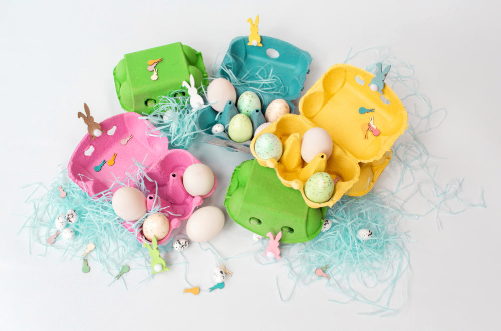 Coloured Egg Boxes | Pastel Egg Boxes