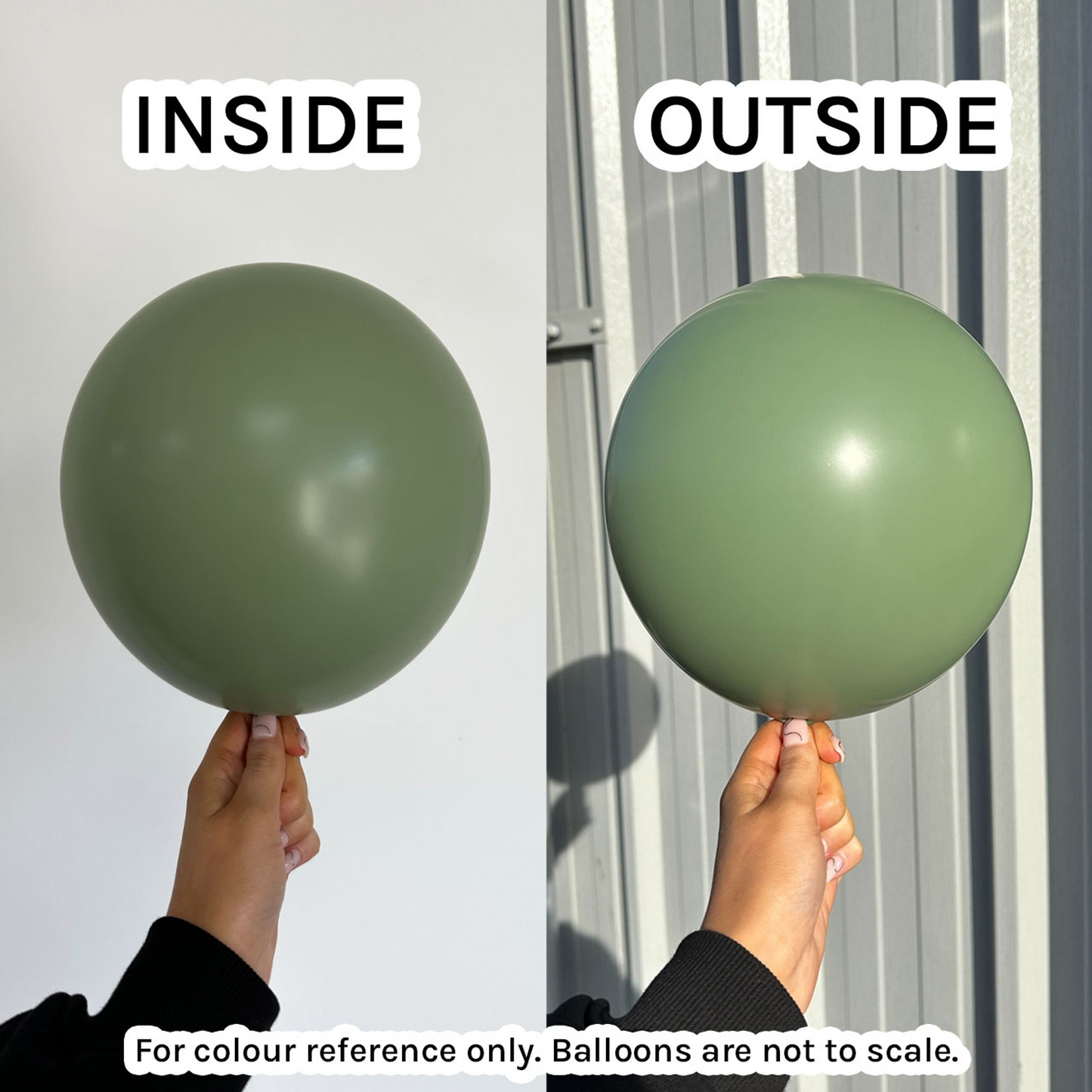 Eucalyptus Balloons | Real Life Colour Image