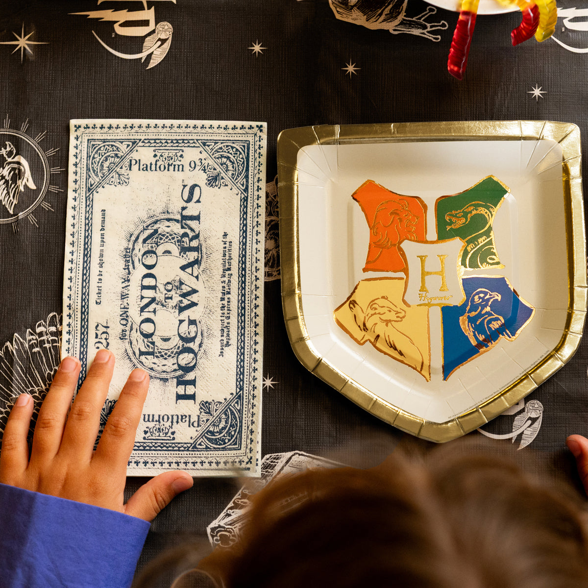 Harry Potter London to Hogwarts ticket paper napkins for Hogwarts themed parties