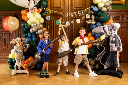 Nimbus 2000 and Golden Snitch balloons at a Harry Potter birthday party