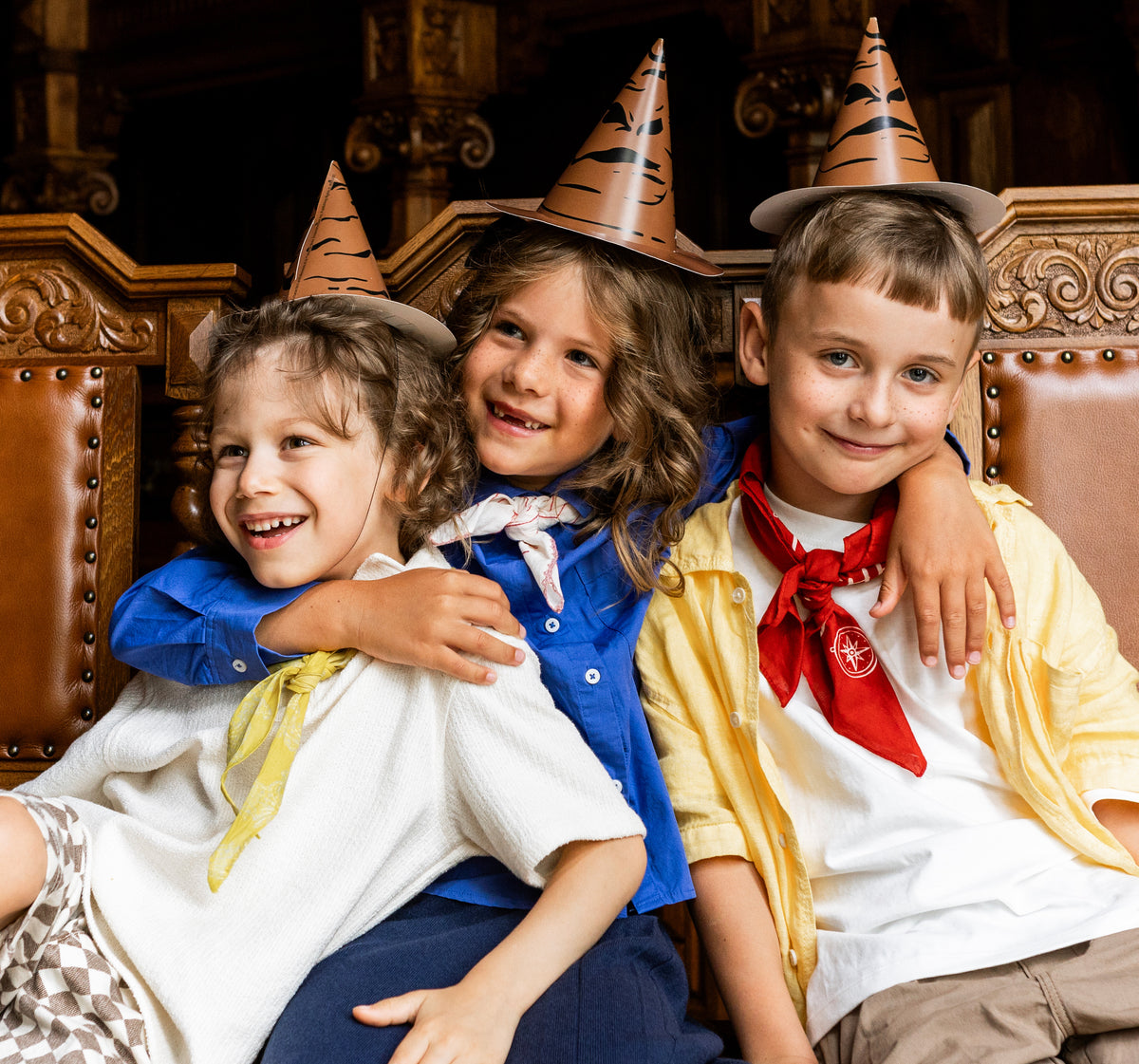 Harry Potter Sorting Hat party hat with Gryffindor, Slytherin, Hufflepuff and Ravenclaw house stickers.