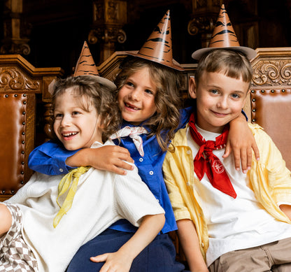 Harry Potter Sorting Hat party hat with Gryffindor, Slytherin, Hufflepuff and Ravenclaw house stickers.