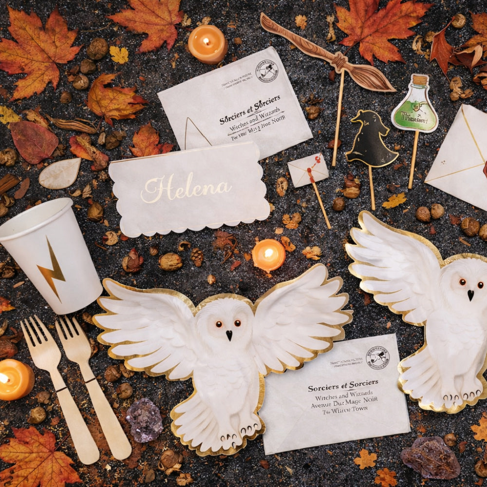 Magic Harry Potter Style Tableware and Decorations