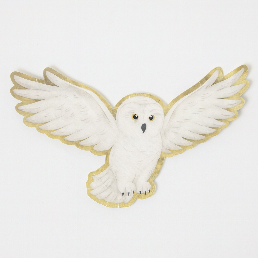 Owl Shaped Party Plates for a Harry Potter Themed Parrty