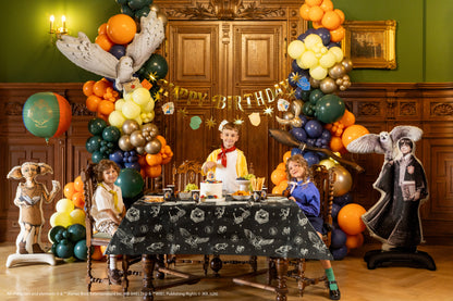 Harry Potter party with giant Harry Potter and Hedwig standing balloon