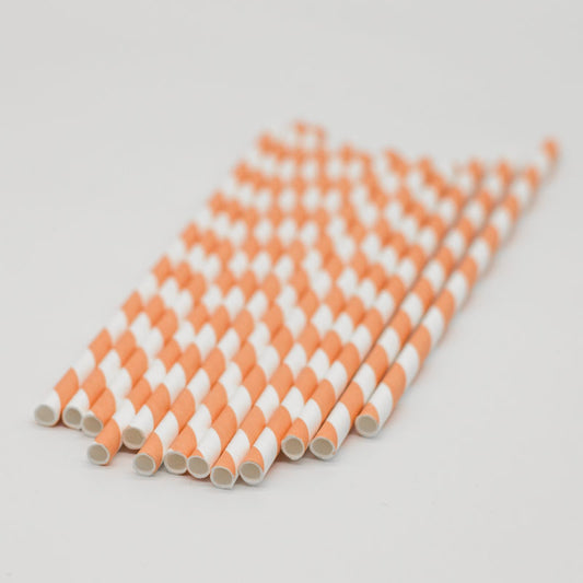 Coral | Peach striped paper Straws
