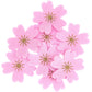 Cherry Blossom Embellishments | Party Crafts | Rico Design Oh Lovely!