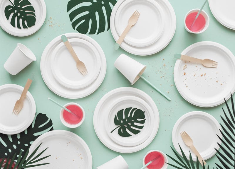 Eco Party Plates | Sugarcane Plates Biodegradable Party Deco