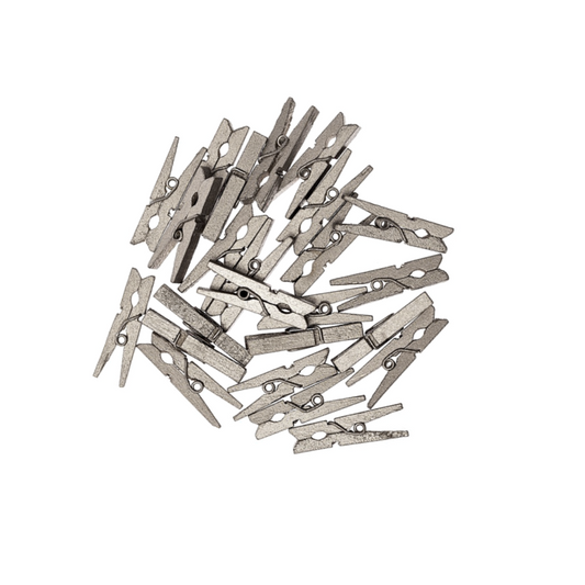Tiny Silver Wooden Pegs for Crafts