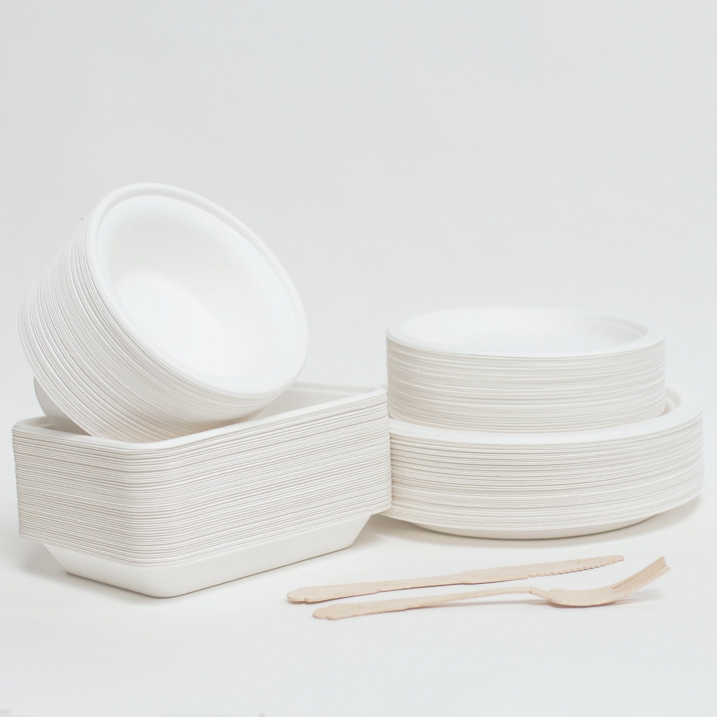 Eco friendly store disposable plates