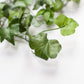 Ivy Garland | Faux Ivy Foliage | Ivy Decorations Ginger Ray