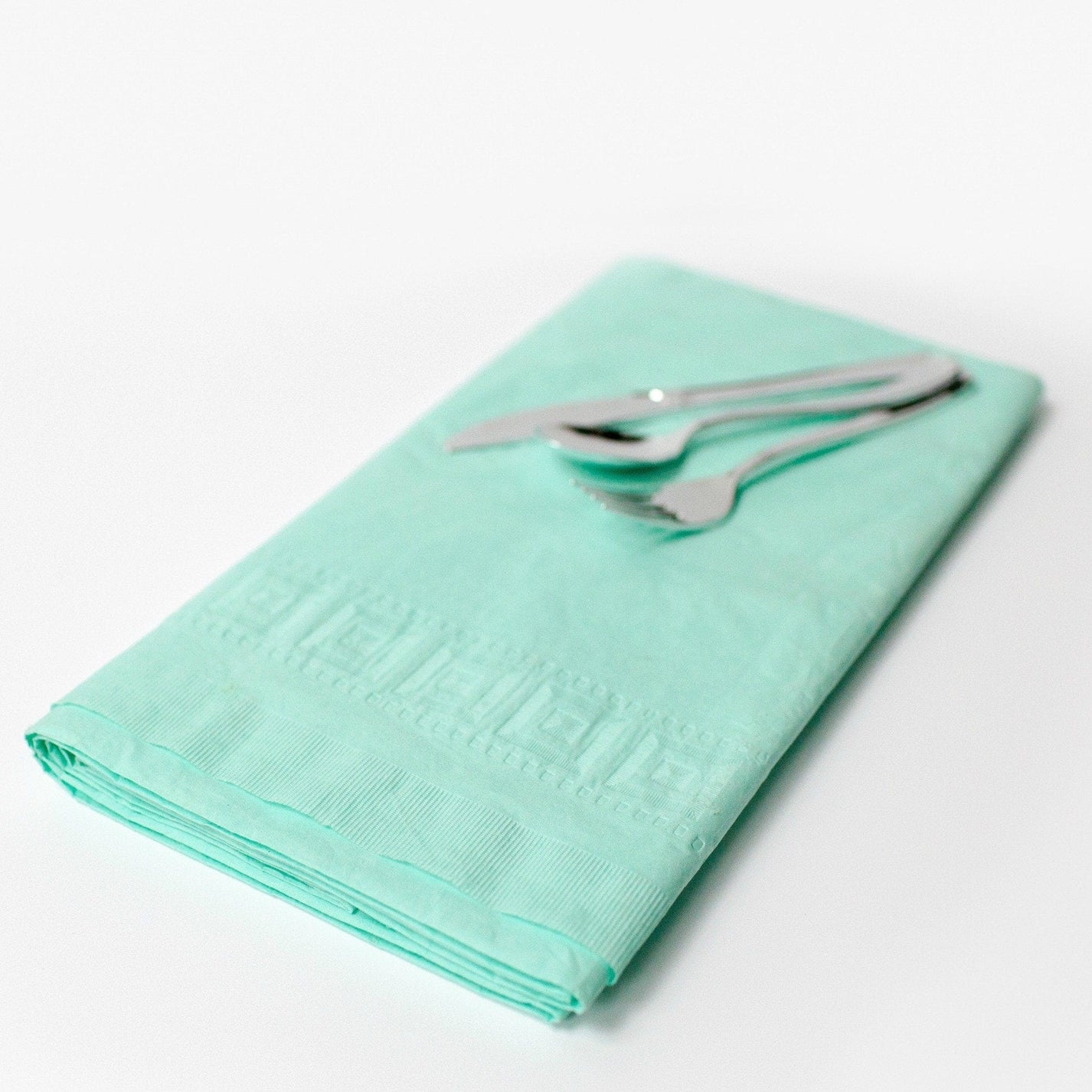 Large Mint Paper Tablecloth Pretty Little Party Shop