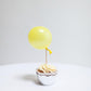 5" inch Balloons | White  Balloons | UK Balloon Supplies Qualatex