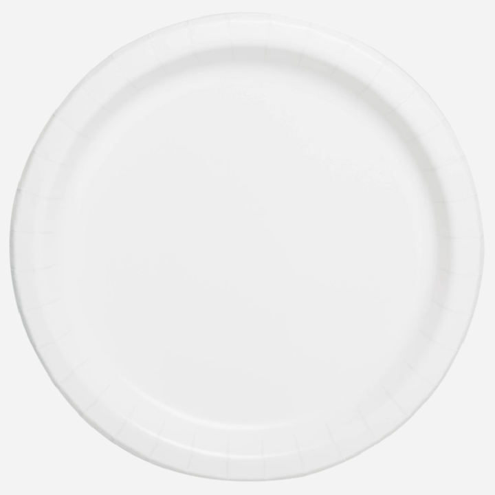Paper Party Plates for Parties, Baby Showers, Weddings Party Plates