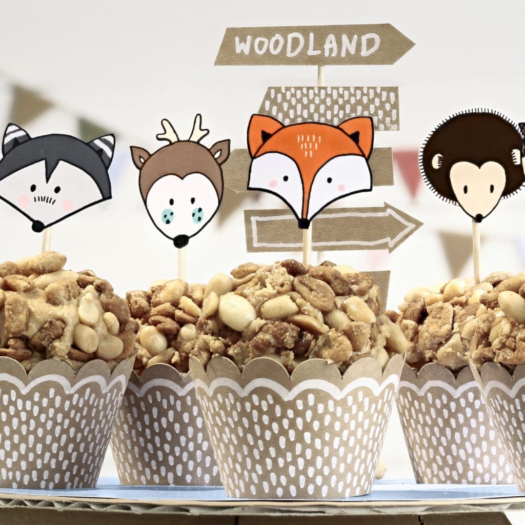 Woodland Party Cupcake Kit | Woodland Party Cake Decorating Kits Party Deco